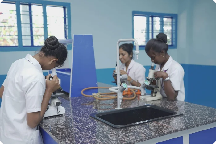 Pharmacy Curriculum Large